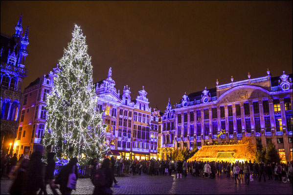 Brussels Christmas break